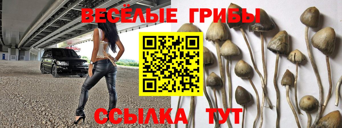 цены   Галлюциногенные грибы Psilocybe  Вход с VPN  Янаул 